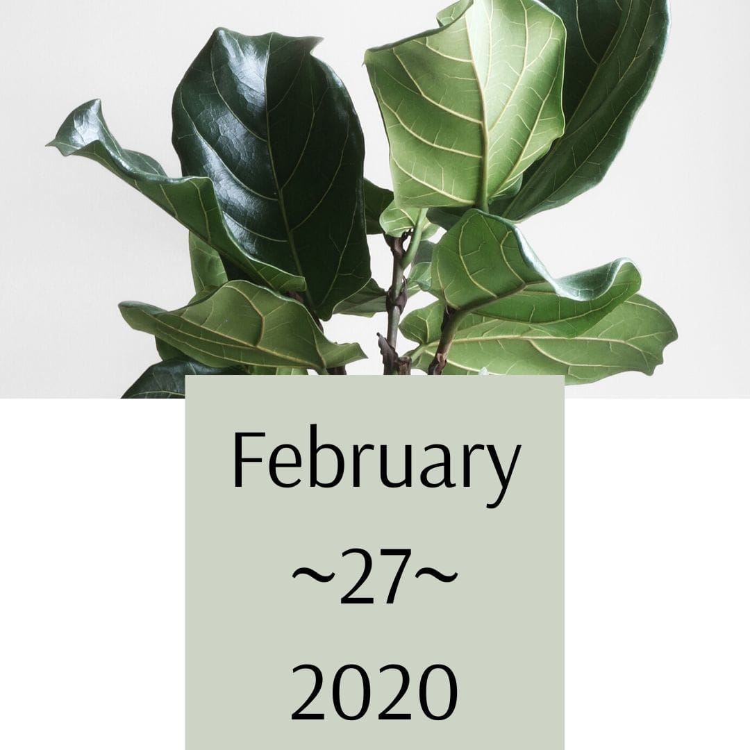 February-27-2020