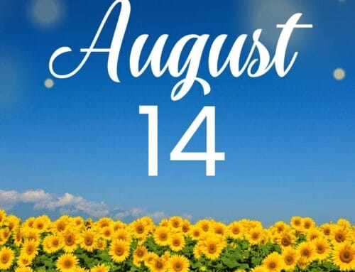 Weekly Update 8.14.2025