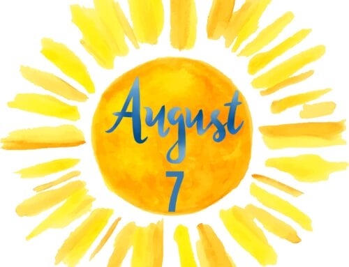 Weekly Update 8.7.2025