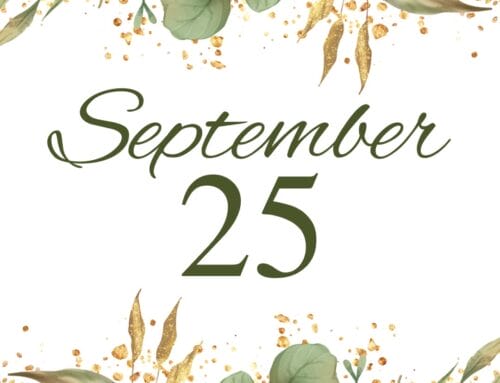 Weekly Update 9.25.2025