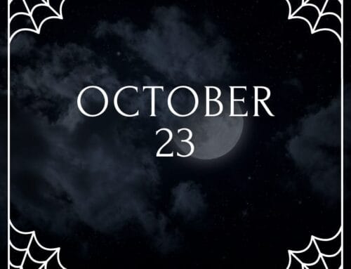 Weekly Update 10.23.2025