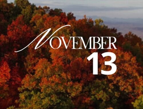 Weekly Update 11.13.2025