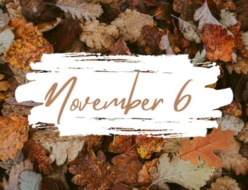 Weekly Update 11.6.2025